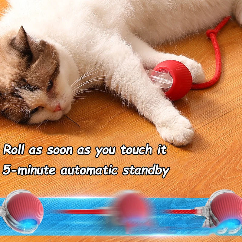 Smart Interactive Cat Ball with Faux Tail