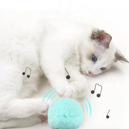 Electric Sound Ball Toy for Cats
