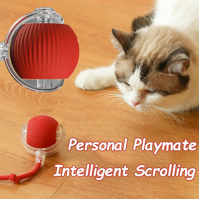 Smart Interactive Cat Ball with Faux Tail
