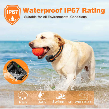 Waterproof Dog Training Collar with Remote Control