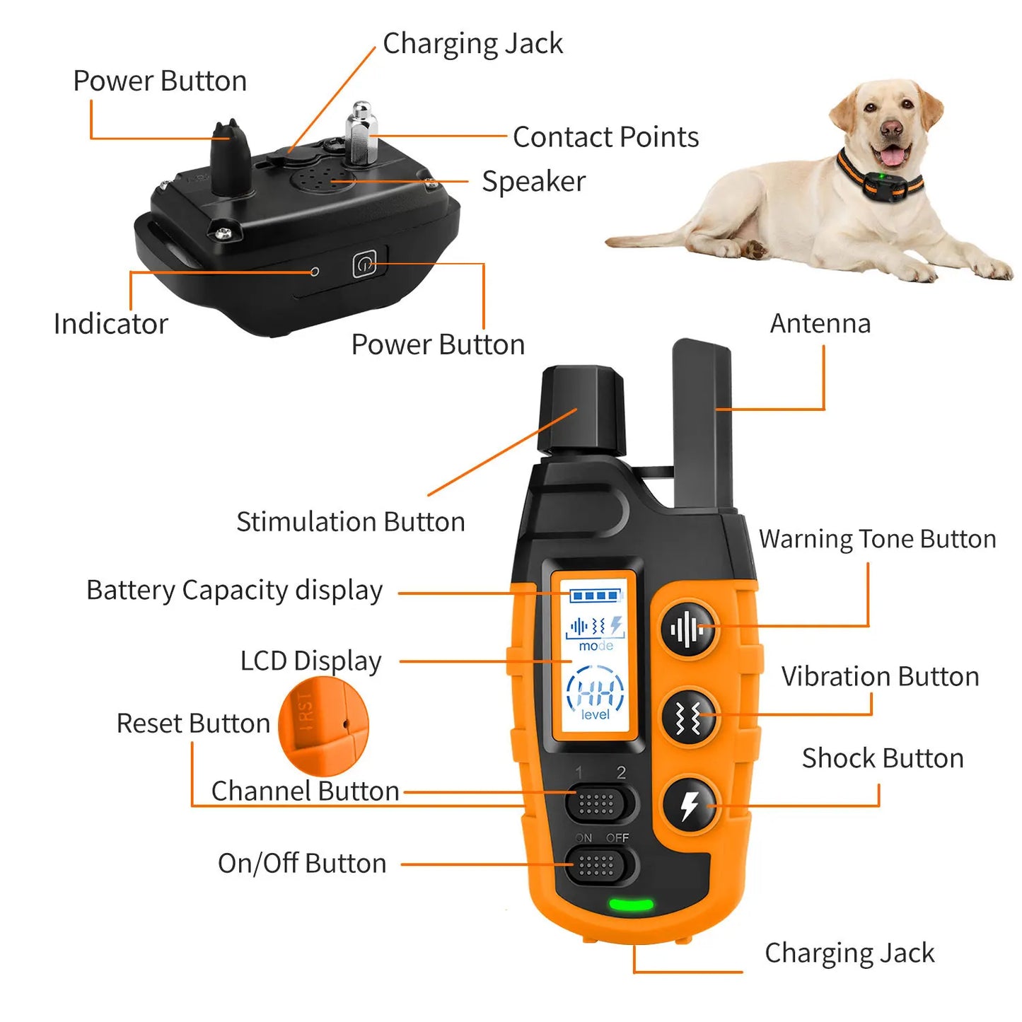Waterproof Dog Training Collar with Remote Control