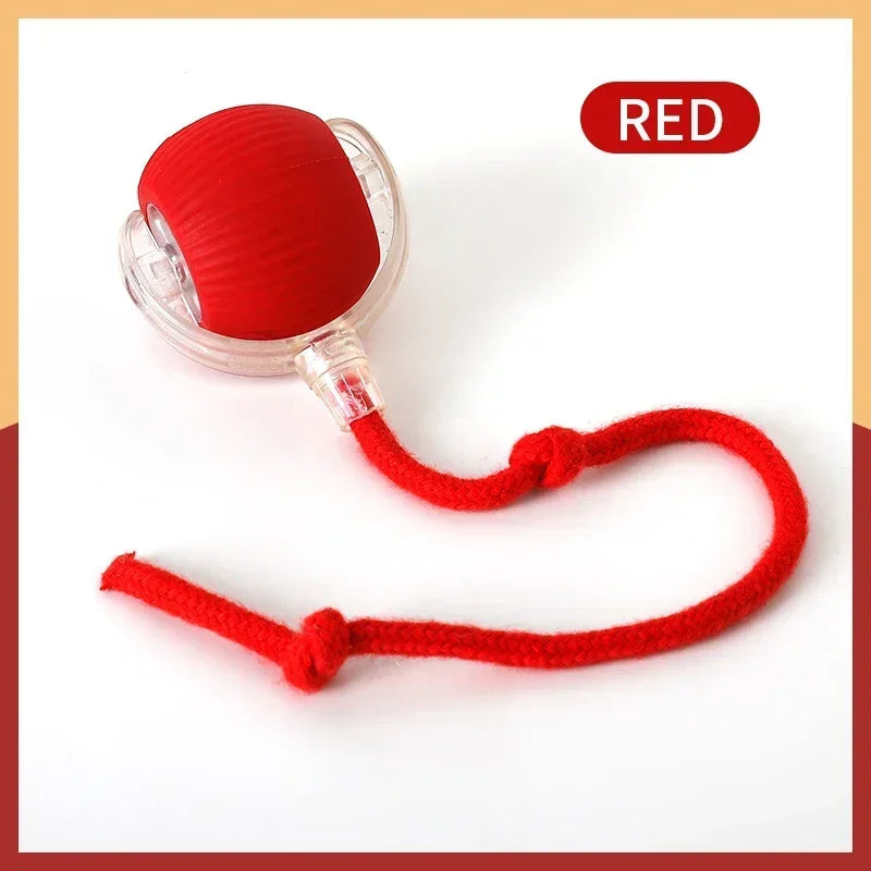 Smart Interactive Cat Ball with Faux Tail