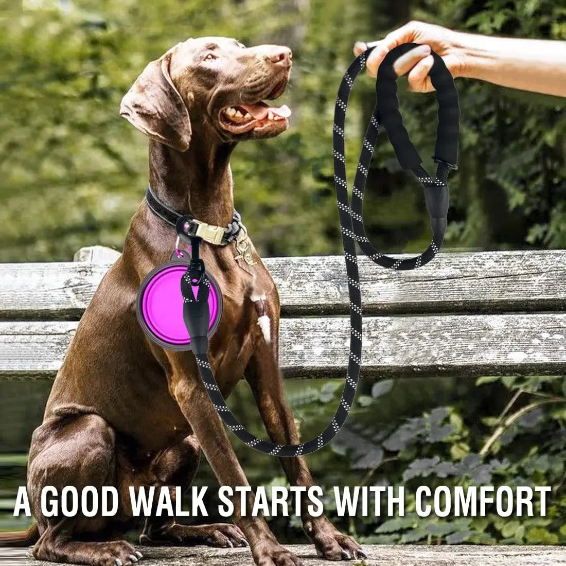 Heavy-Duty Rope Dog Leash